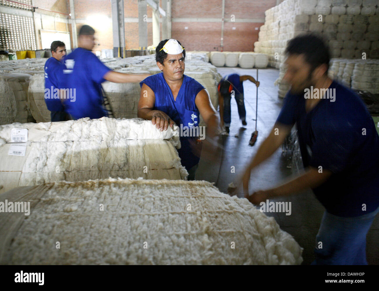 Workers move cotton bales in a wharehouse at the Jeans factory Santana in Fortaleza, Brazil, 11 April 2007. Photo: Soeren Stache Stock Photo