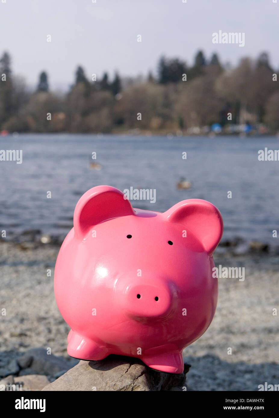 Piggy bank at the lake district Stock Photo