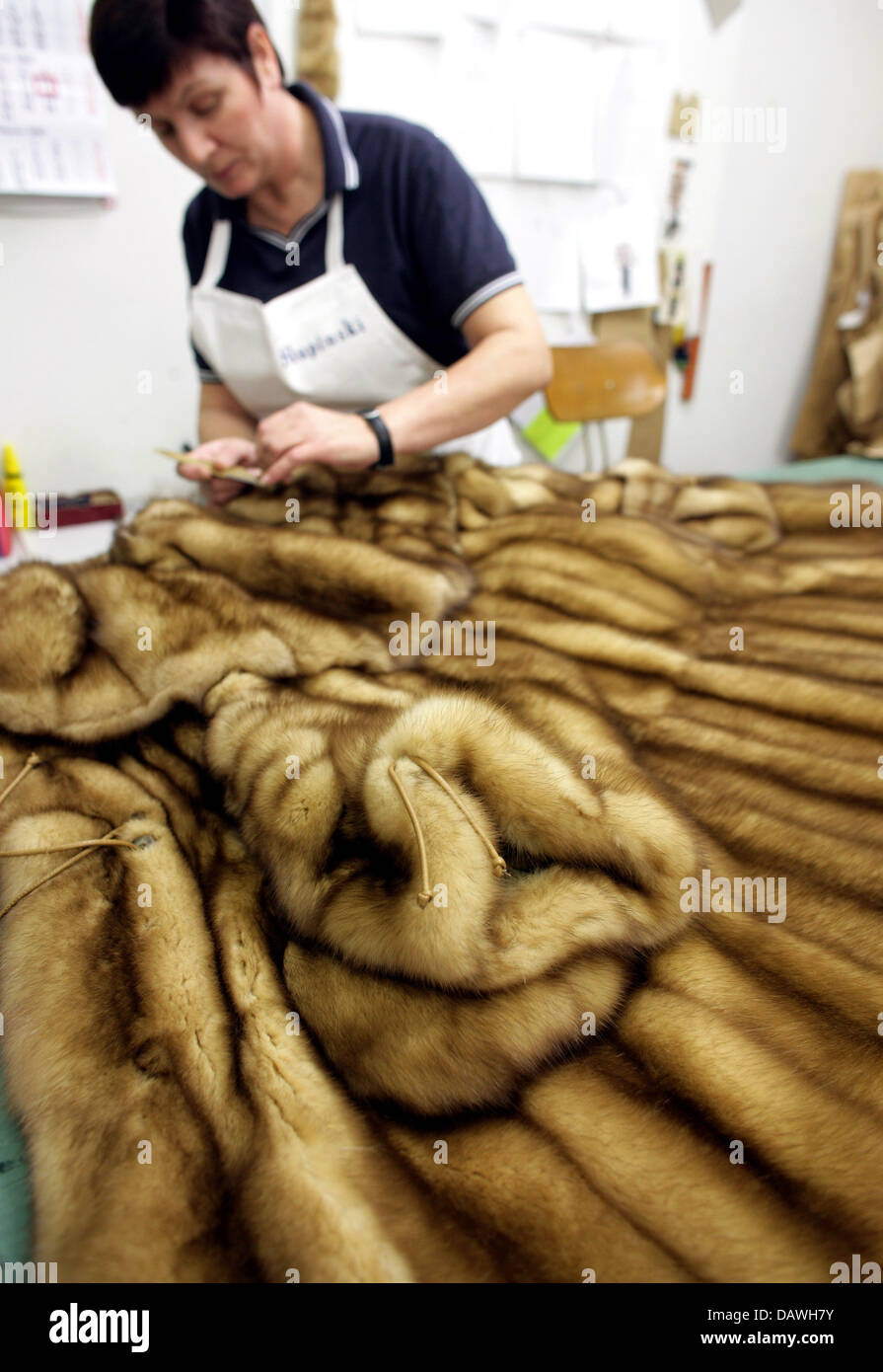 A staff member works on a sable fur in the 'Slupinski' fur fashion factory on Koenigsallee in Duesseldorf, Germany, 12 January 2007. The Slupinski brothers create individual items for their customers in Duesseldorf or St. Moritz. Photo: Rolf Vennenbernd Stock Photo