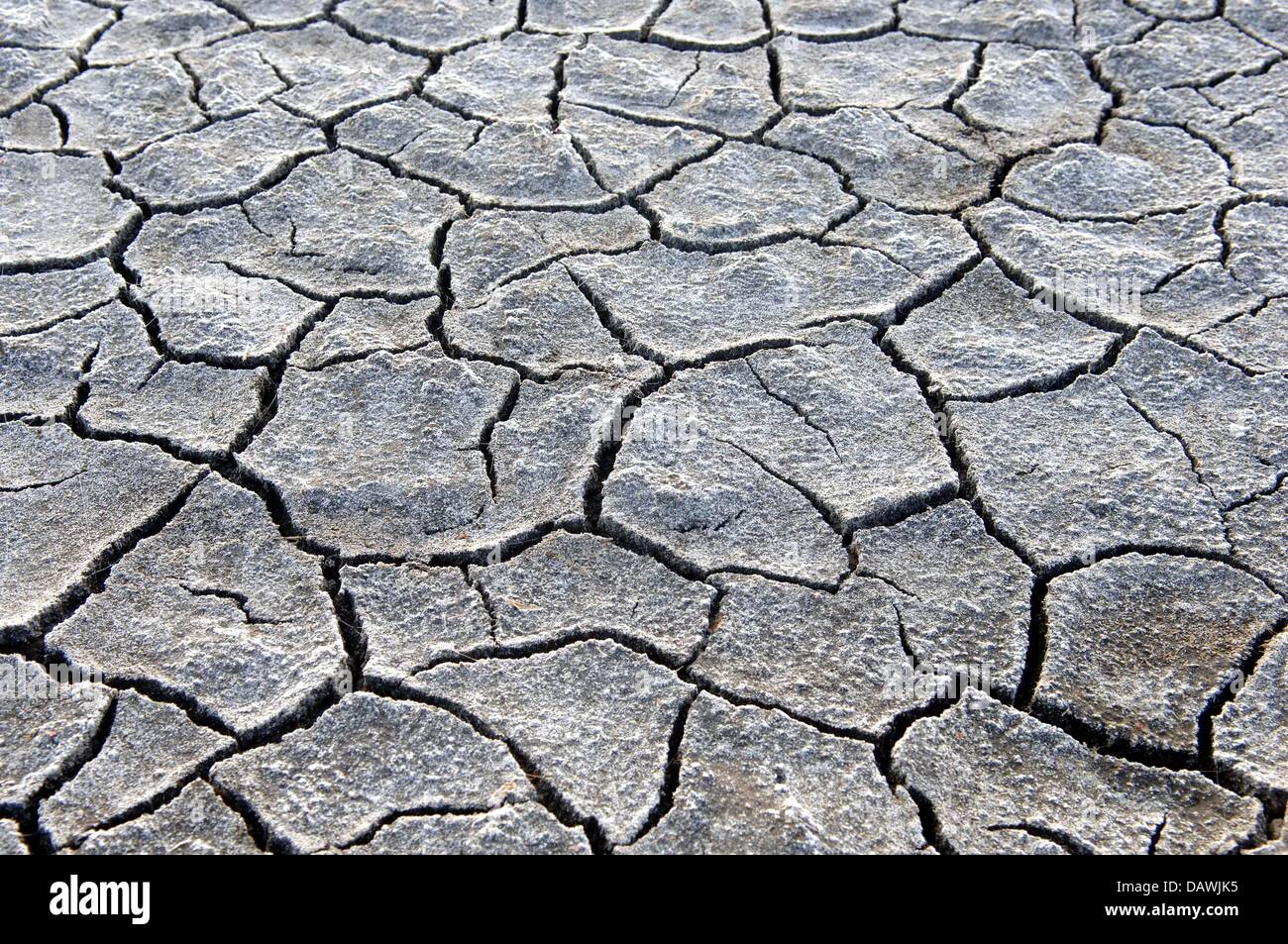 (dpa file) - Cracks have opened up in the dry soil at the banks of the German Polish frontier river Oder, Frankfurt Oder, Germany, 30 June 2005. Missing rains have caused a sharp decline of the Oder water levels. The Intergovernmental Panel on Climate Change of the United Nations published the third chapter of its Climate Report in Bangkok on 04 May 2007. It is dedicated to possibl Stock Photo