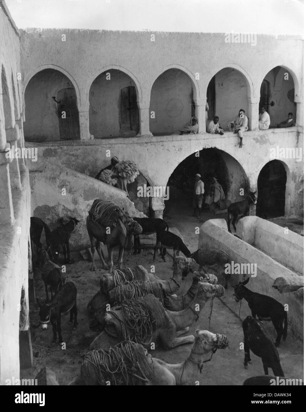 geography / travel, Tunisia, Tunis, buildings, courtyard as resting place for camels and donkeys, circa 1950s, Additional-Rights-Clearences-Not Available Stock Photo