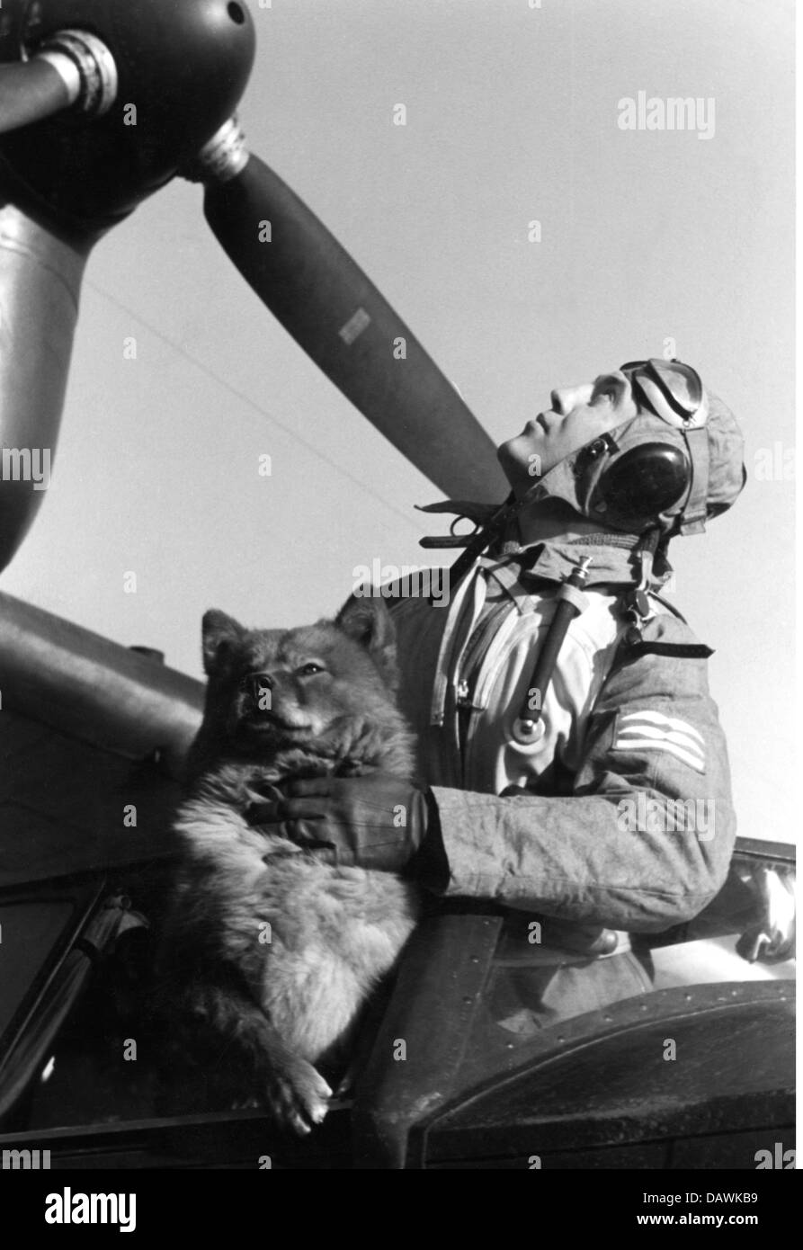 events, Second World War / WWII, aerial warfare, persons, pilot of a German flying boat with his dog before a mission, circa 1940, Germany, 20th century, maritime reconnaissance aircraft, observation, historic, historical, planes, Wehrmacht, Luftwaffe, Third Reich, recce, long-range, boats, Dornier Do 18, Do18, Do-18, aviator, aviators, pilot, soldiers, engine, propeller, airscrew, aircraft, animal, animals, 1940s, people, Additional-Rights-Clearences-Not Available Stock Photo