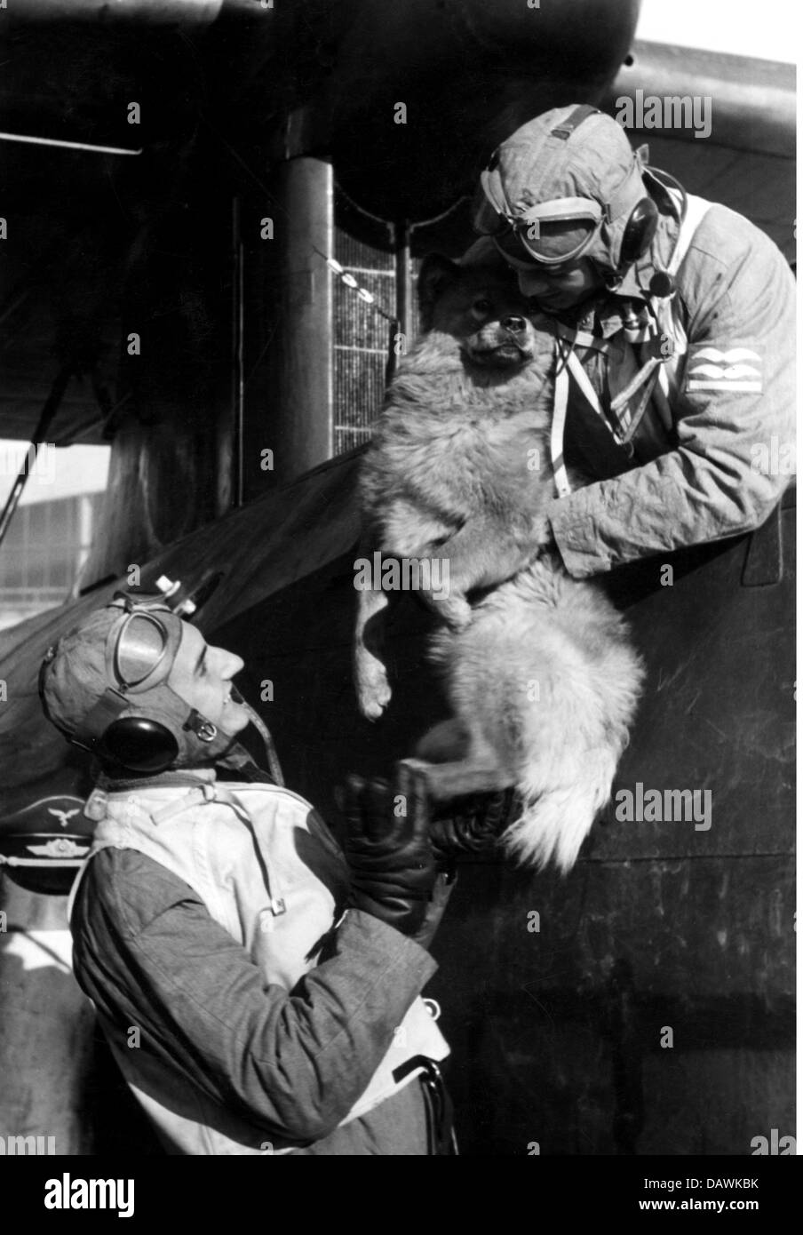 events, Second World War / WWII, aerial warfare, persons, pilot of a German flying boat with his dog before a mission, circa 1940, Germany, 20th century, maritime reconnaissance aircraft, observation, historic, historical, planes, Wehrmacht, Luftwaffe, Third Reich, recce, long-range, boats, Dornier Do 18, Do18, Do-18, aviator, aviators, pilots, soldiers, engine, propeller, airscrew, aircraft, animal, animals, 1940s, people, Additional-Rights-Clearences-Not Available Stock Photo