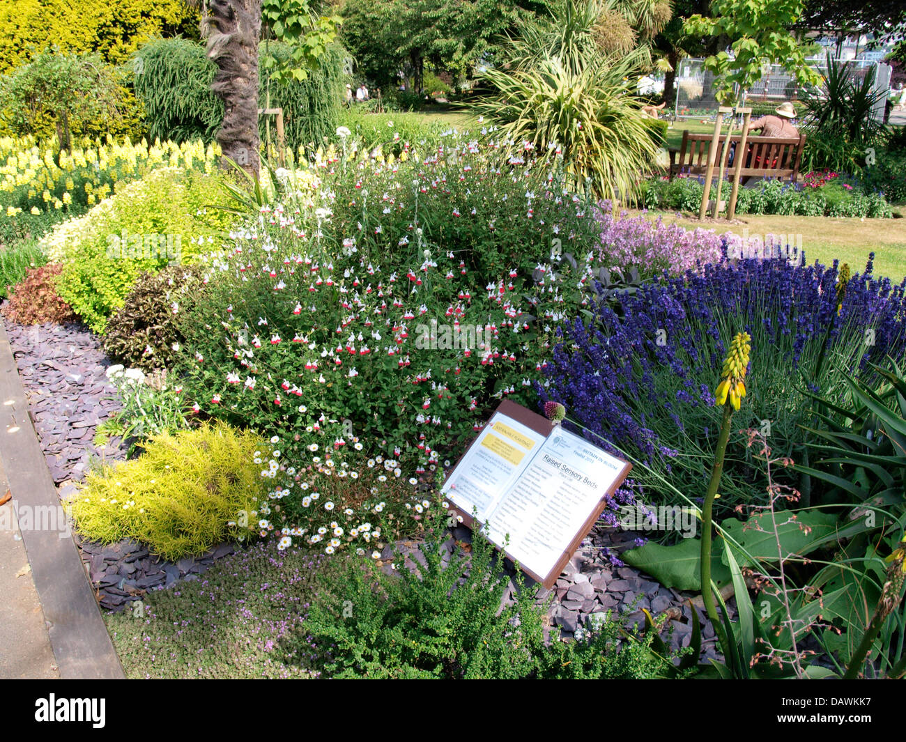 Raised Sensory Flower Beds, Dartmouth, Britain in Bloom finalist 2013. UK Stock Photo