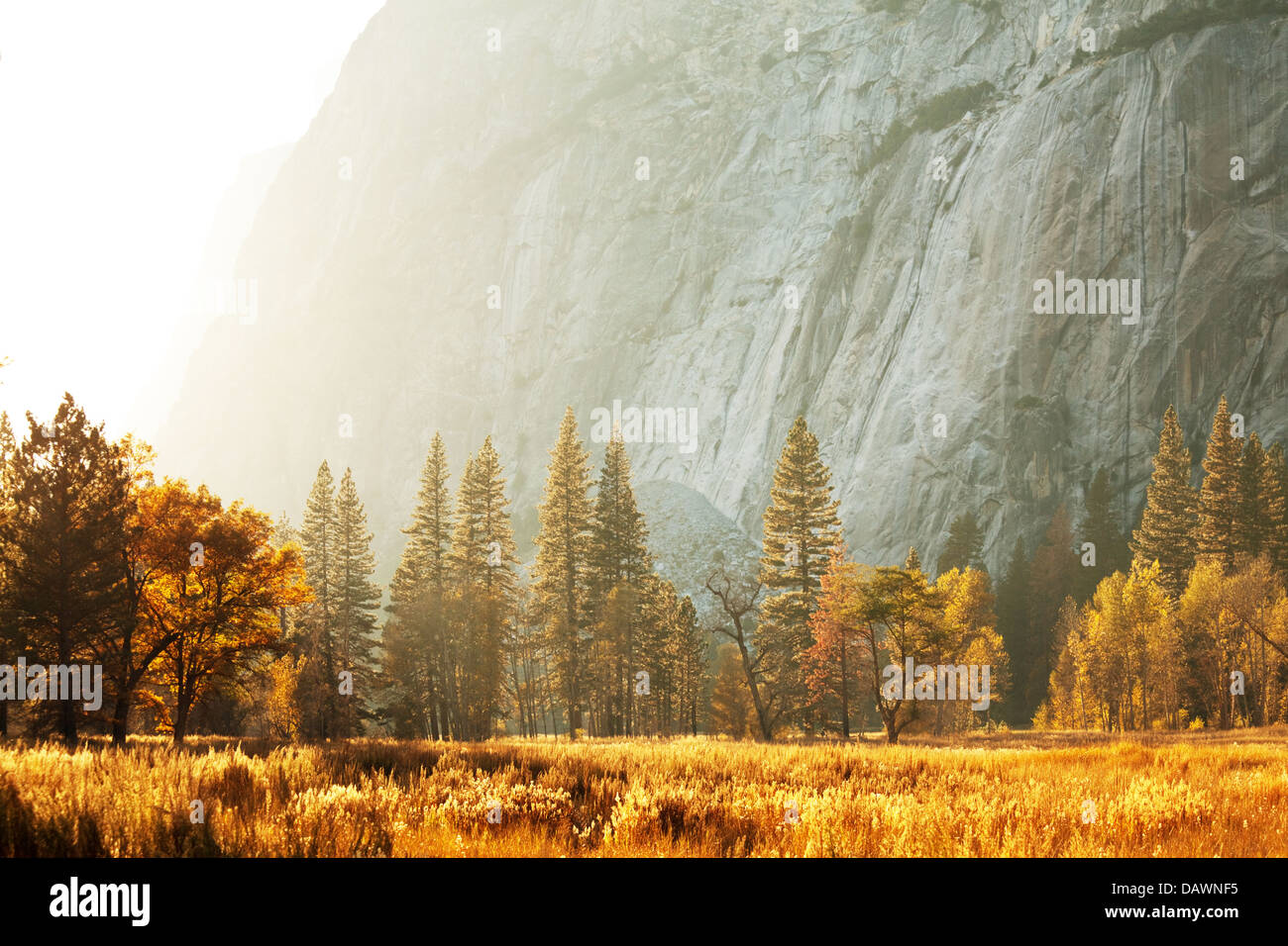Mirror lake yosemite hike hi-res stock photography and images - Alamy