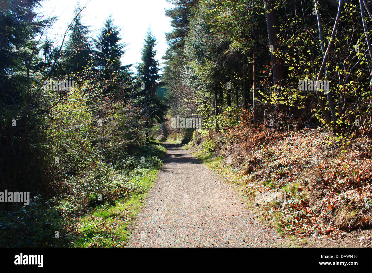 Brick gravel path hires stock photography and images Alamy