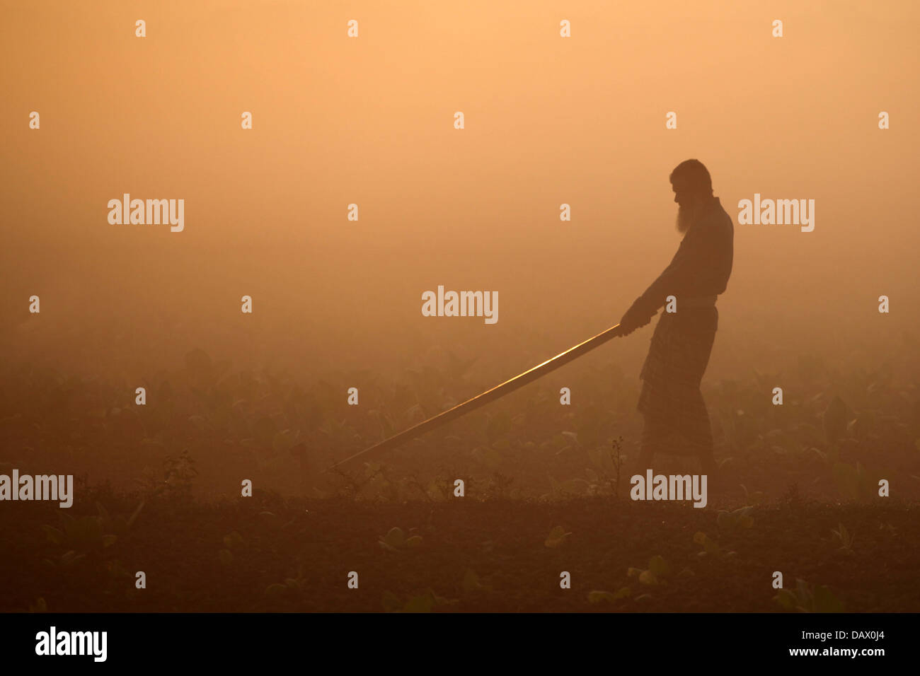farmer digging cropland at winter morning in Bangladesh Stock Photo