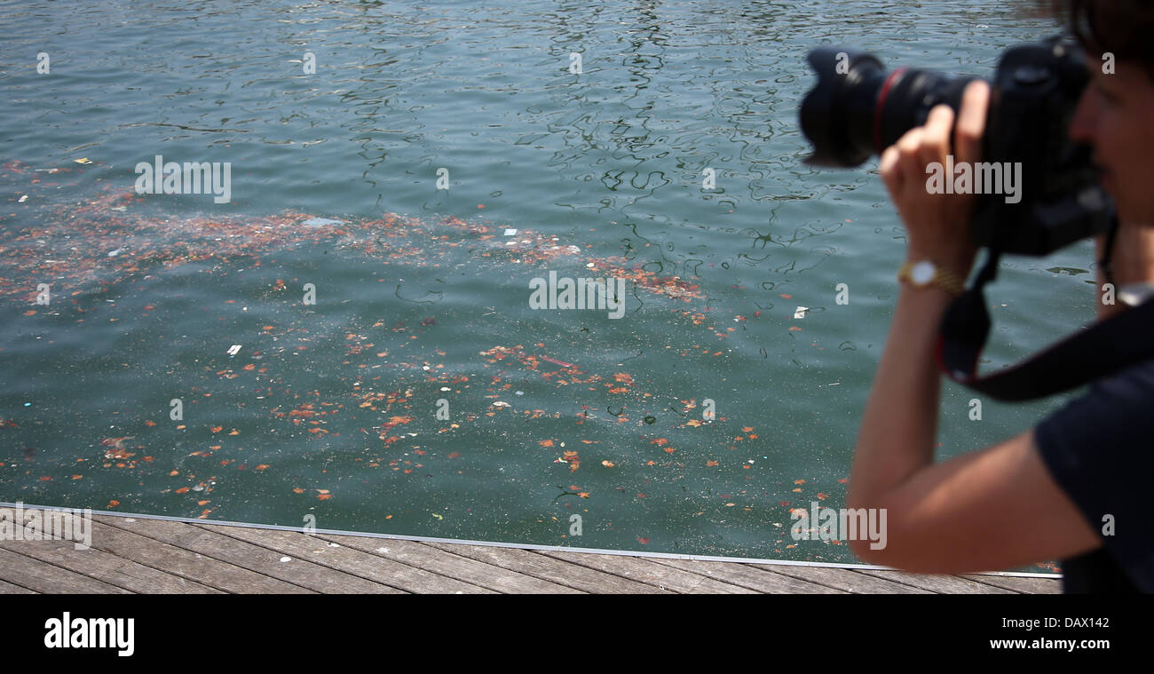 A photographer takes pictures of trash swimming in the water at Moll de la Fusta ahead of the Marathon Open Water event of the 15th FINA Swimming World Championships n Barcelona, Spain, 19 July 2013. Photo: Friso Gentsch/dpa +++(c) dpa - Bildfunk+++ Stock Photo