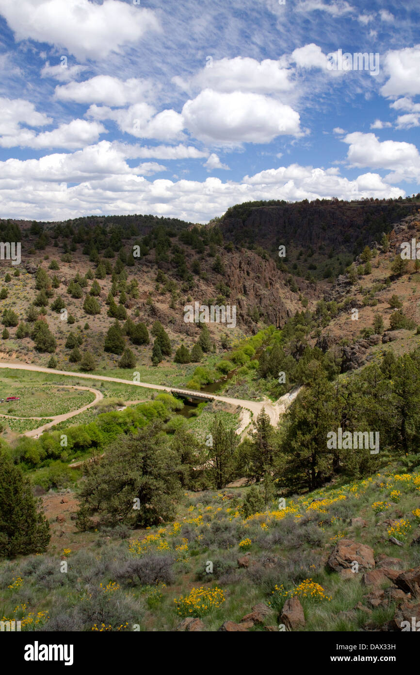 Scenic view along the Owyhee Uplands Backcountry Byway in Owyhee County, Idaho, USA. Stock Photo