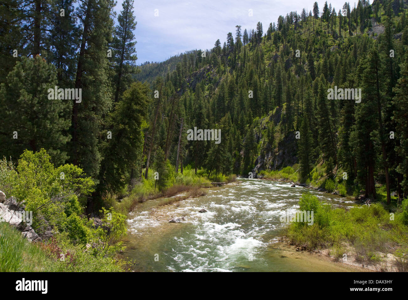 South Fork of the Boise River near Featherville, Idaho, USA Stock Photo