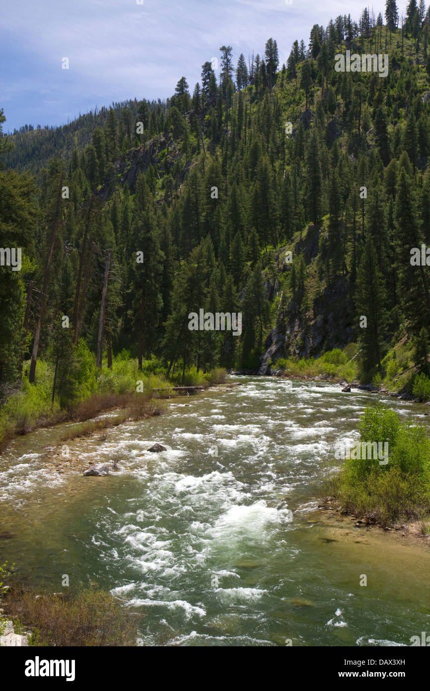South Fork of the Boise River near Featherville, Idaho, USA Stock Photo