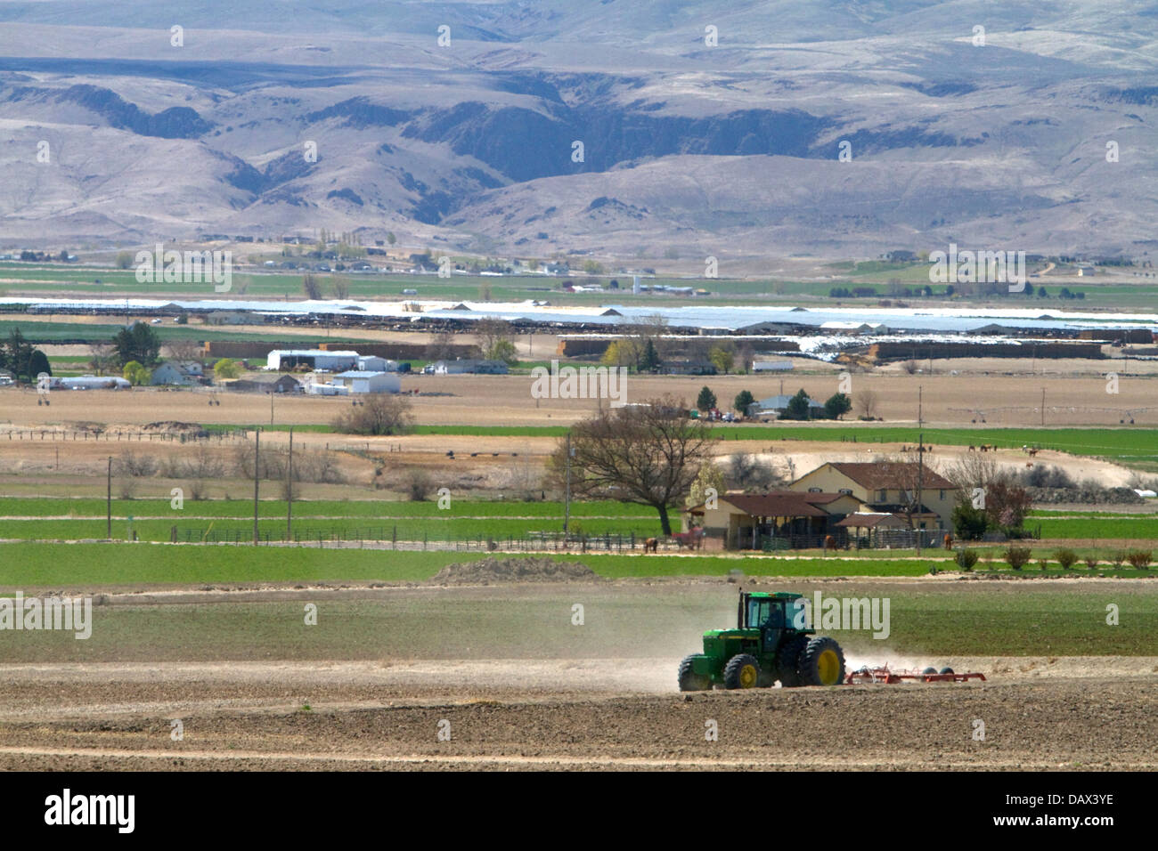 Tractor being used for spring tilling in Canyon County, Idaho, USA Stock Photo