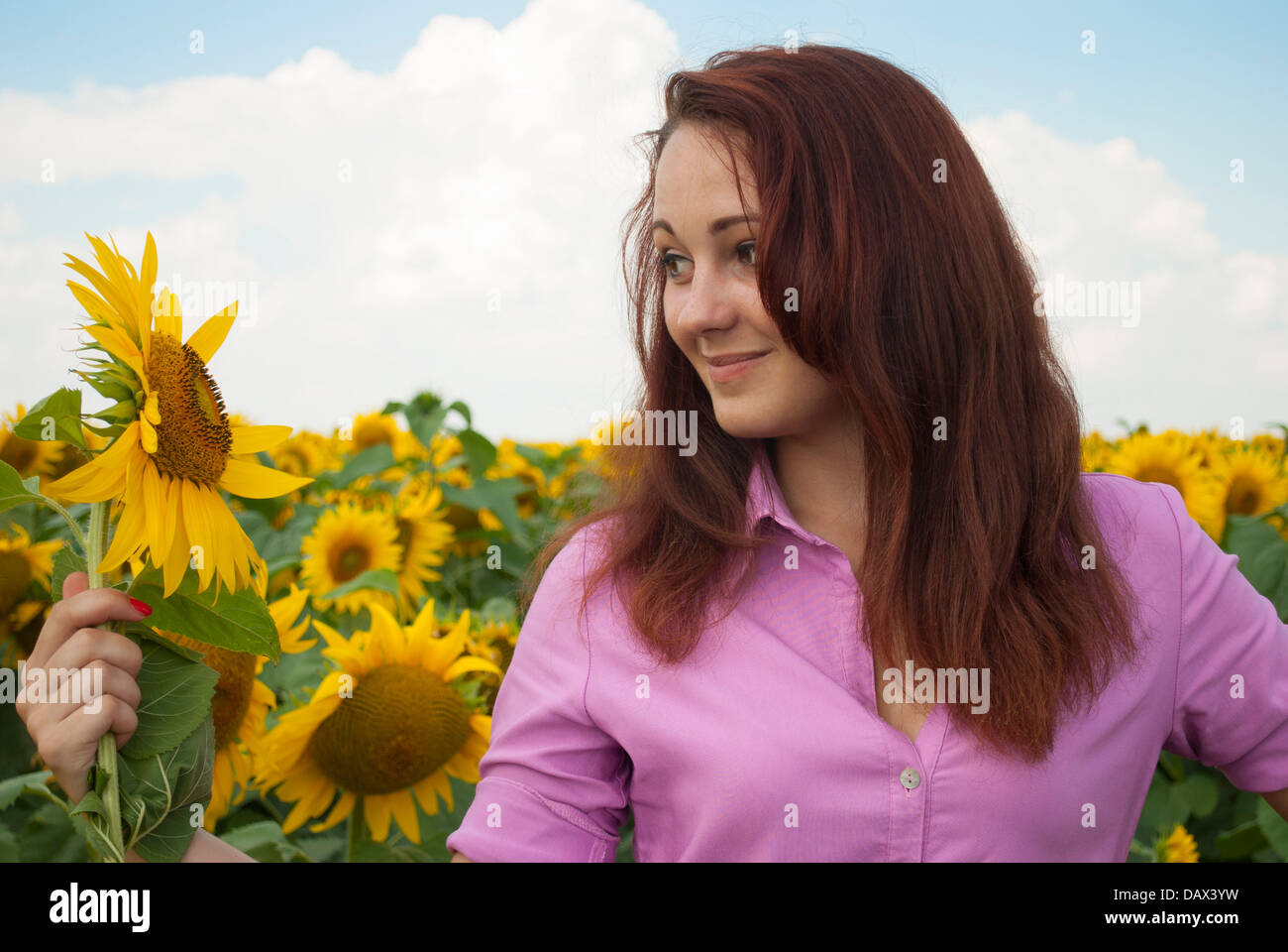 Beautiful girl in a field of sunflowers Stock Photo - Alamy