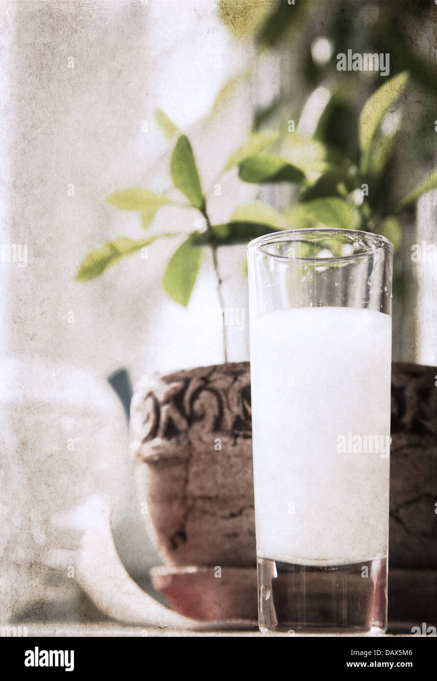 Raki And Alcohol And Turkey High Resolution Stock Photography and ...