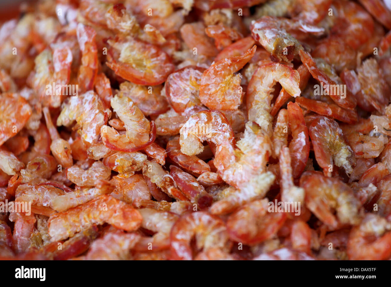 Dried Shrimp is a Local foods in Thailand Stock Photo Alamy