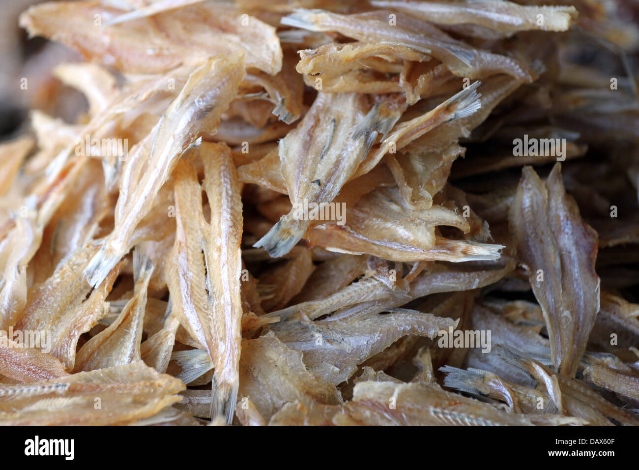 Dried squid is a Local foods in Thailand Stock Photo - Alamy