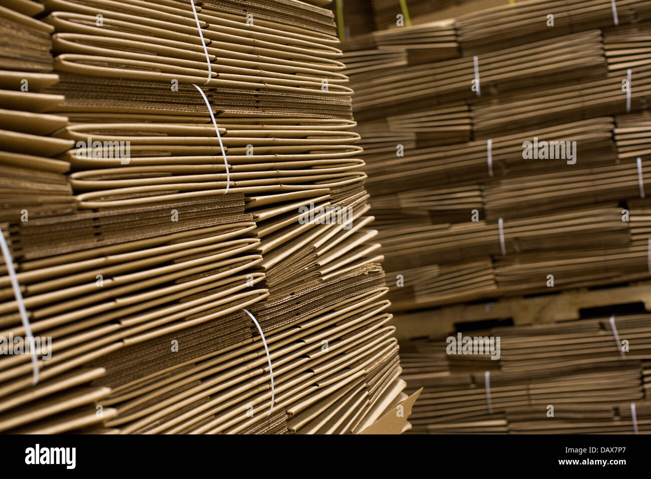 An industrial warehouse full of cardboard boxes on shelving.  Stock Photo