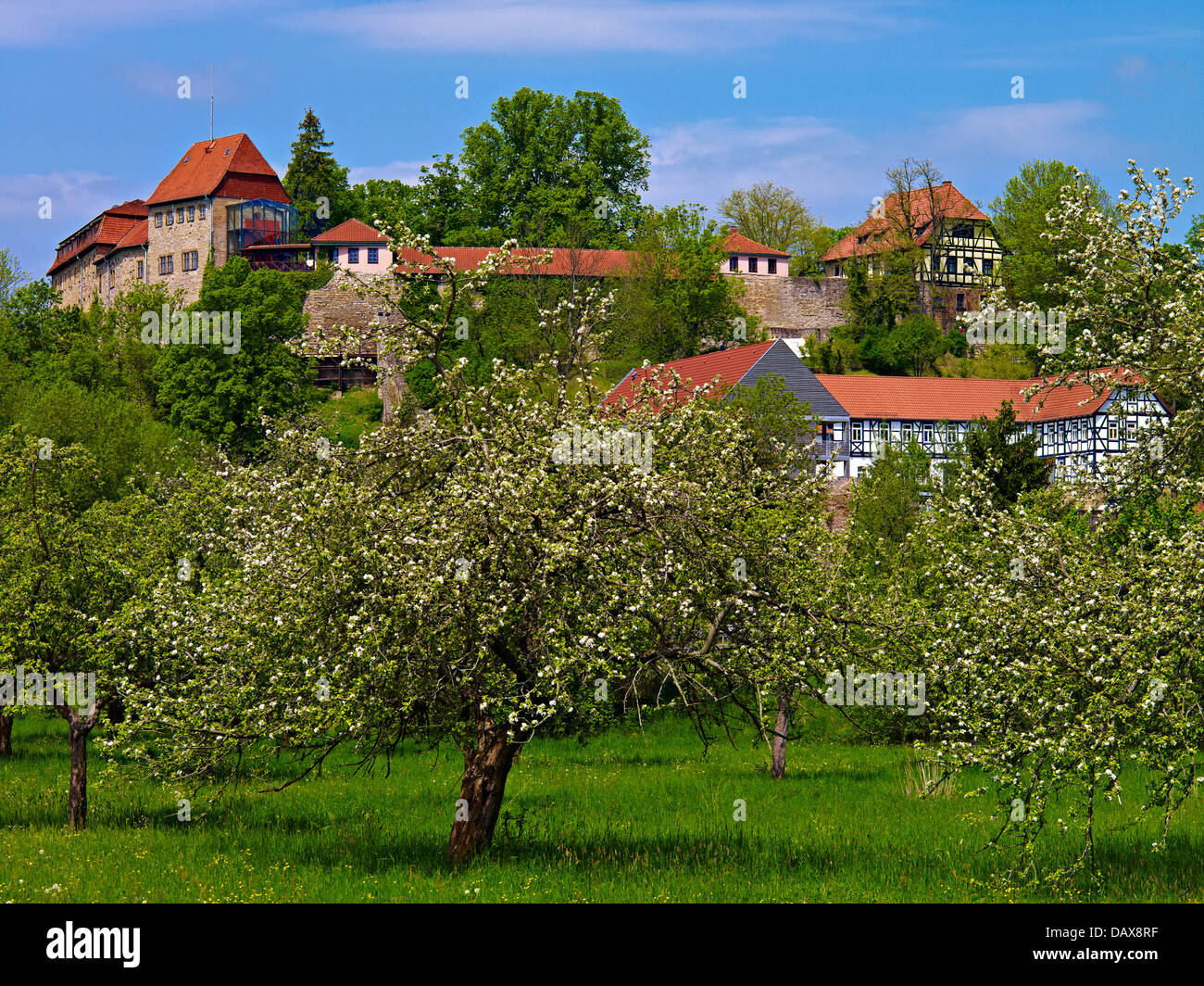 Creuzburg hi-res stock photography and images - Alamy
