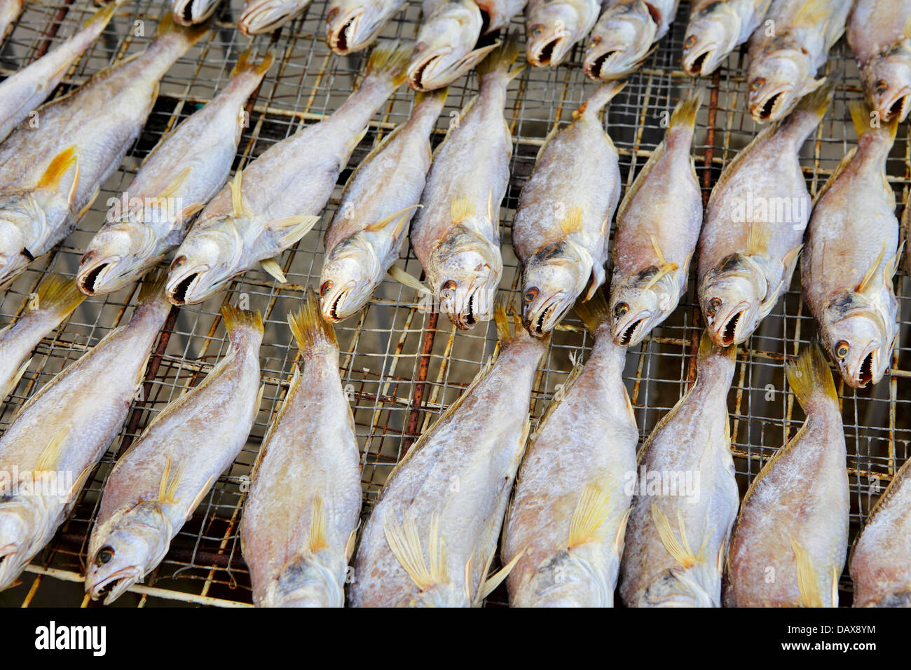 dry salt fish Stock Photo Alamy