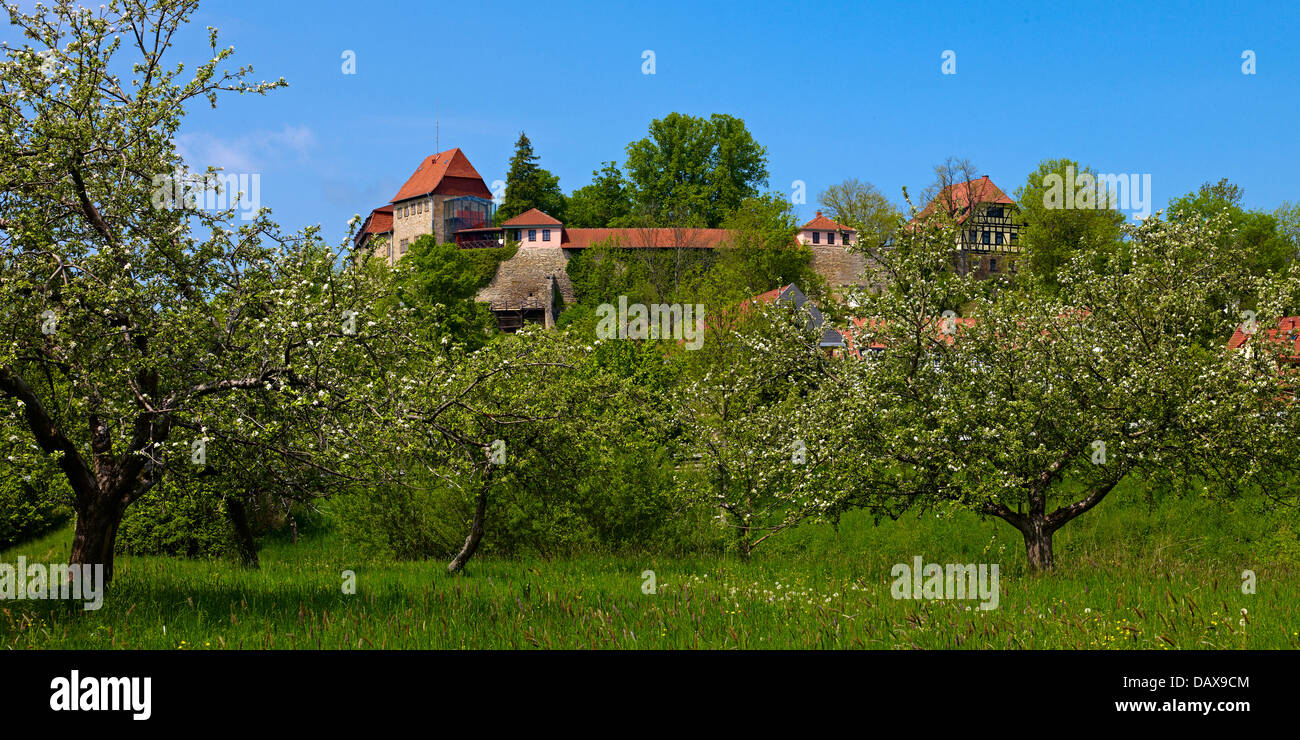 Creuzburg Castle with fruit trees, Creuzburg, Thuringia, Germany Stock ...