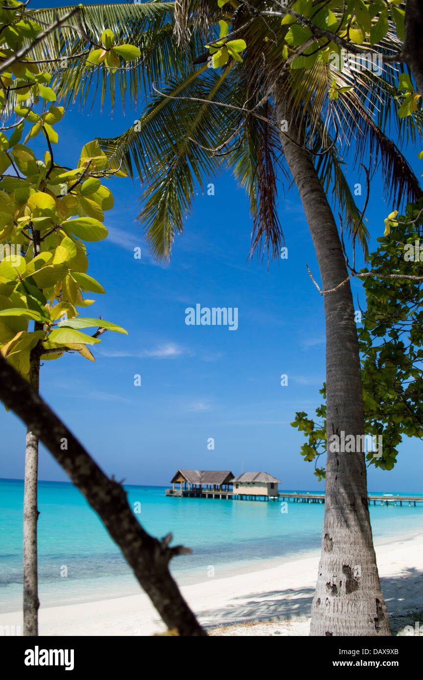 Tropical wallpaper hi-res stock photography and images - Alamy