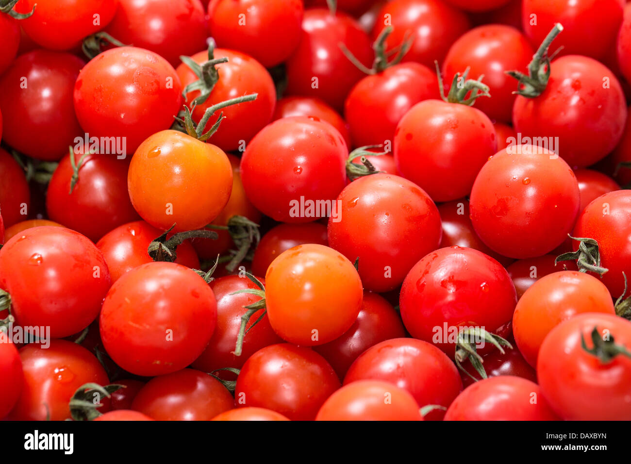 Tomato Cherry Ripe background of ripe cherry tomatoes Stock Photo - Alamy
