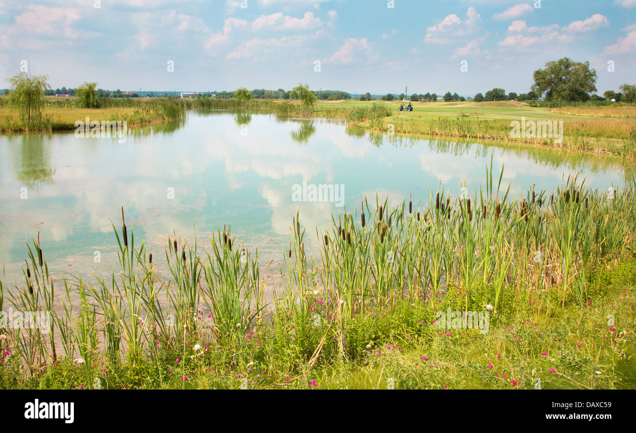 lake at the golf course in west Slovakia Stock Photo