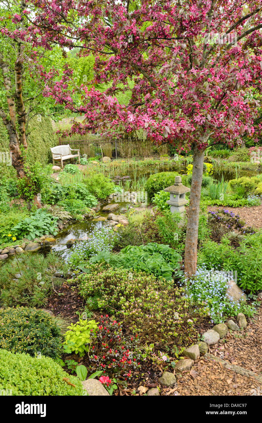 Crab apple (Malus x moerlandsii 'Profusion') in a perennial garden with brook and garden pond. Design: Marianne and Detlef Lüdke Stock Photo