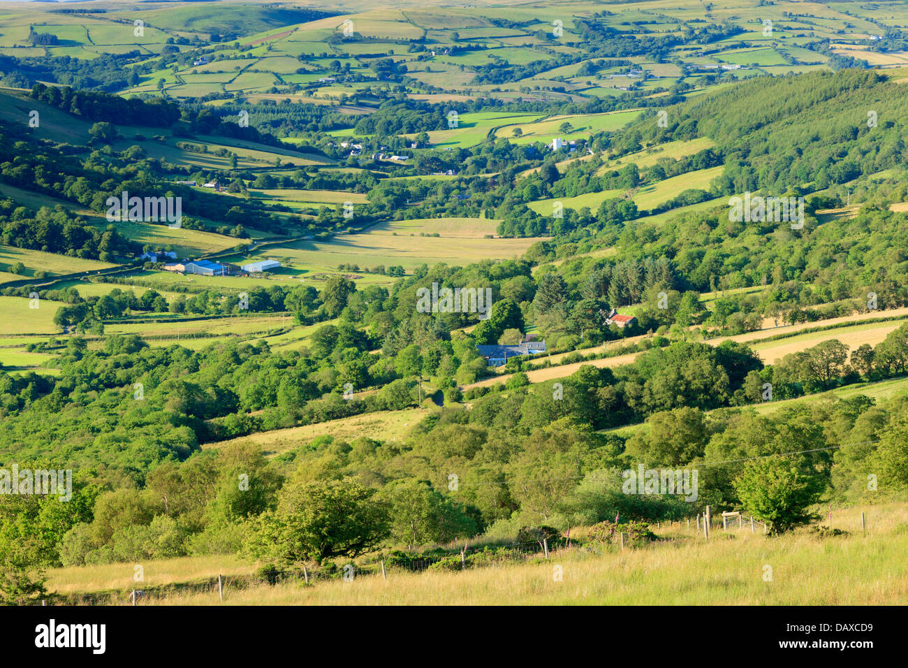 Fforest Fach Cwm Treweryn Brecon Beacons National Park Sennybridge Powys Wales Stock Photo