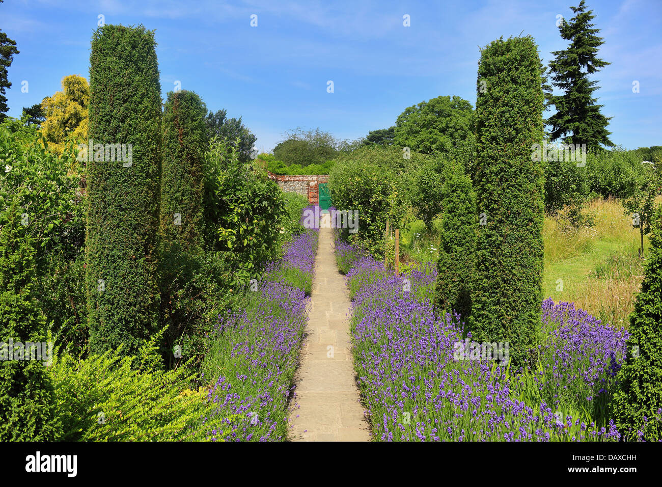 An English walled garden with a lavender lined path leading to a gate Stock Photo