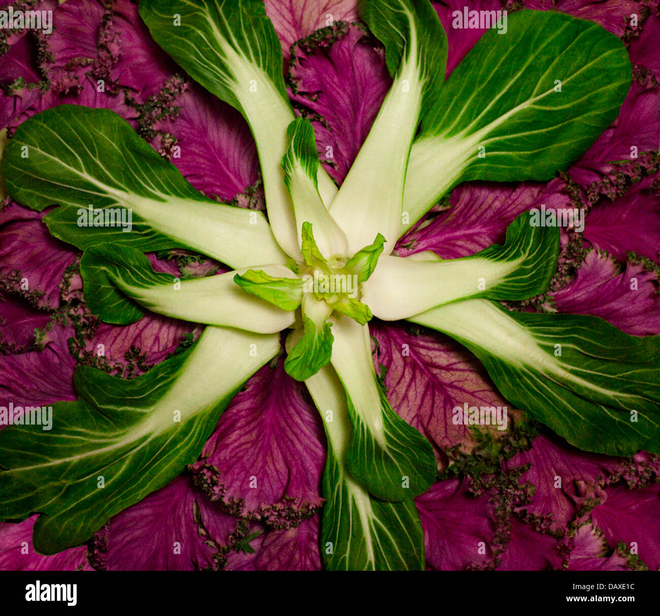 Overhead view of floral  arrangement of flowers and vegetables Stock Photo