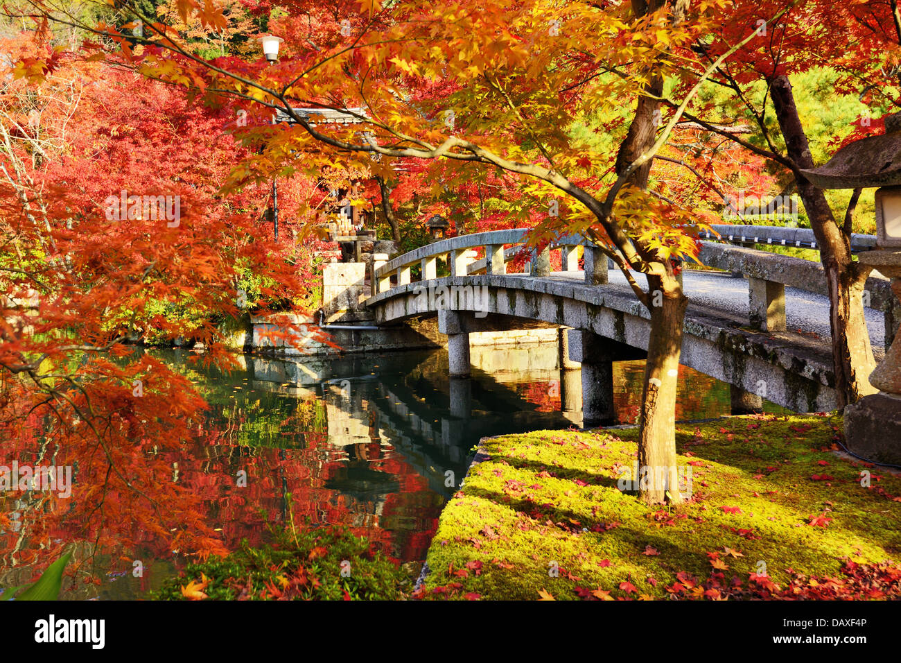 Fall foliage at Eikando Temple in Kyoto, Japan Stock Photo Alamy
