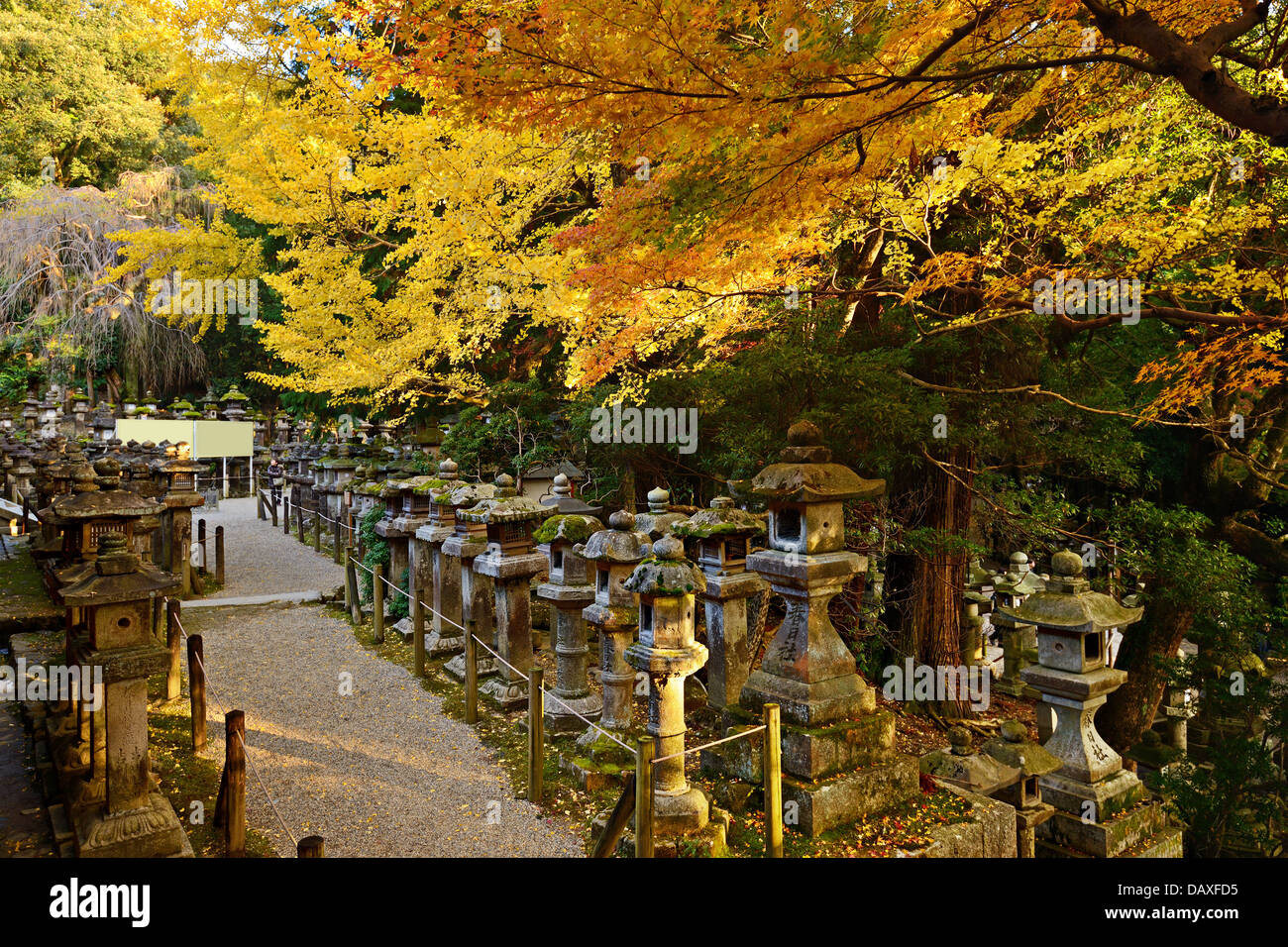 Fall foliage at Kasuga-taisha shrine in Nara Stock Photo