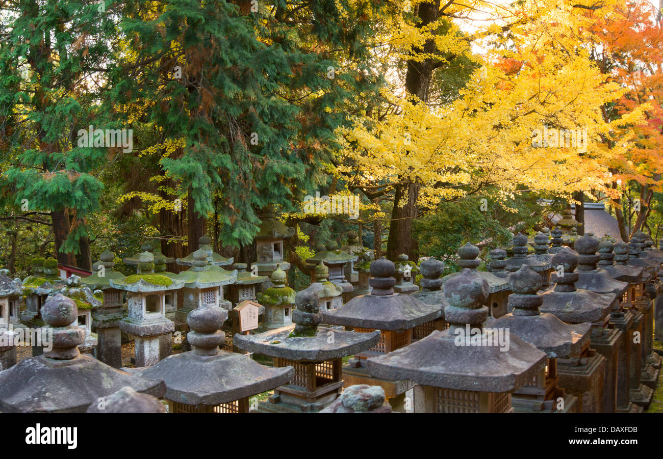 Fall foliage at Kasuga-taisha shrine in Nara Stock Photo