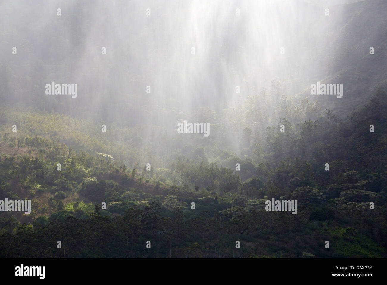 Heavy, localized downpour hits a green valley on the island of Kauai, Hawaii. Stock Photo