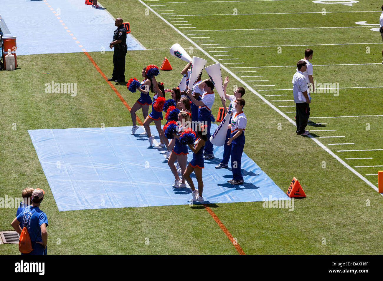 UF Gators cheerleaders 2013 Annual Spring Orange and Blue football game Ben Hill Griffin Stadium Florida Field a.k.a. the Swamp. Stock Photo