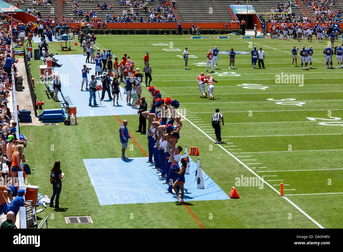 UF Gators cheerleaders 2013 Annual Spring Orange and Blue football game Ben Hill Griffin Stadium Florida Field a.k.a. the Swamp. Stock Photo