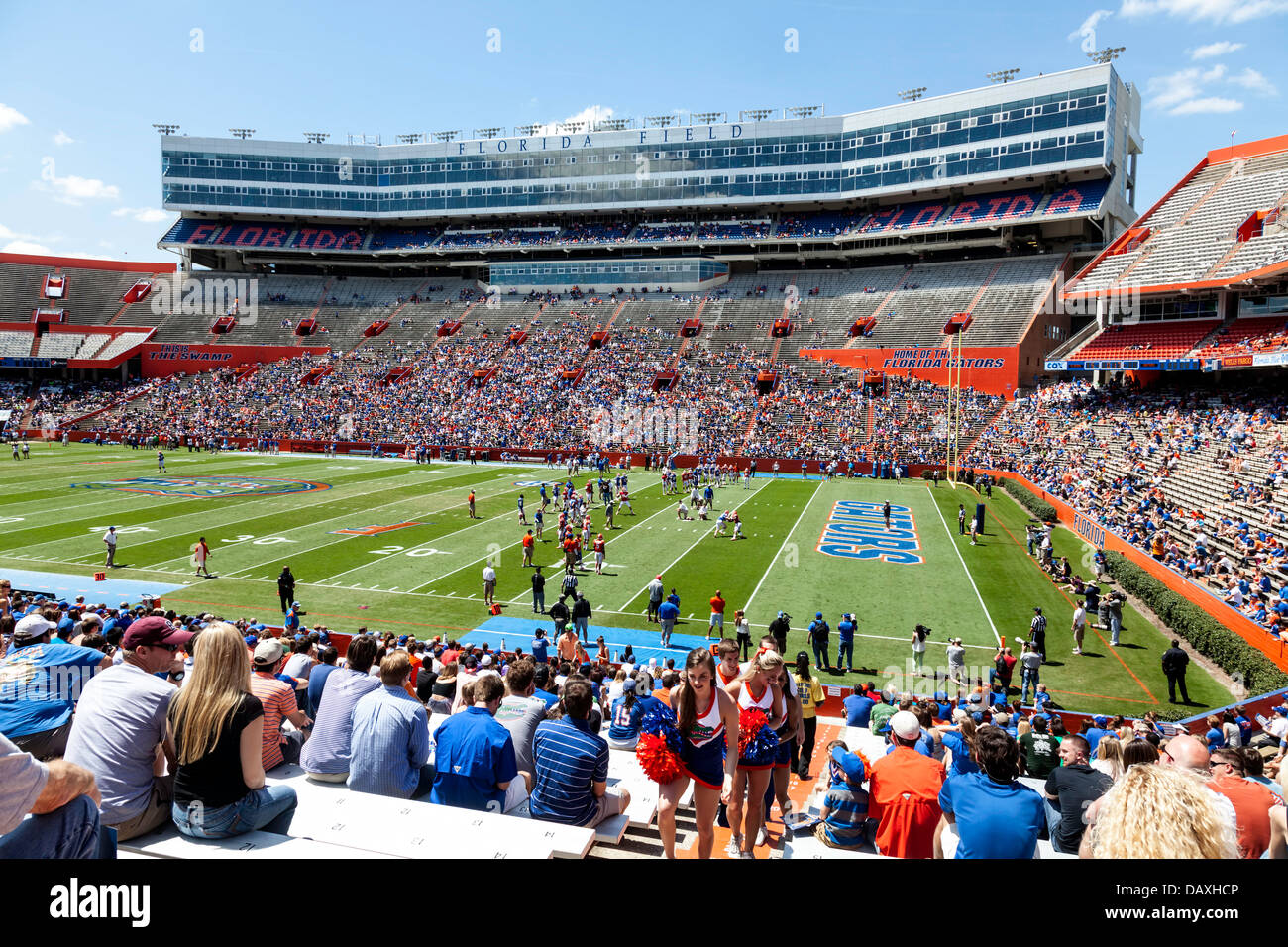 UF Gators cheerleaders 2013 Annual Spring Orange and Blue football game Ben Hill Griffin Stadium Florida Field a.k.a. the Swamp. Stock Photo