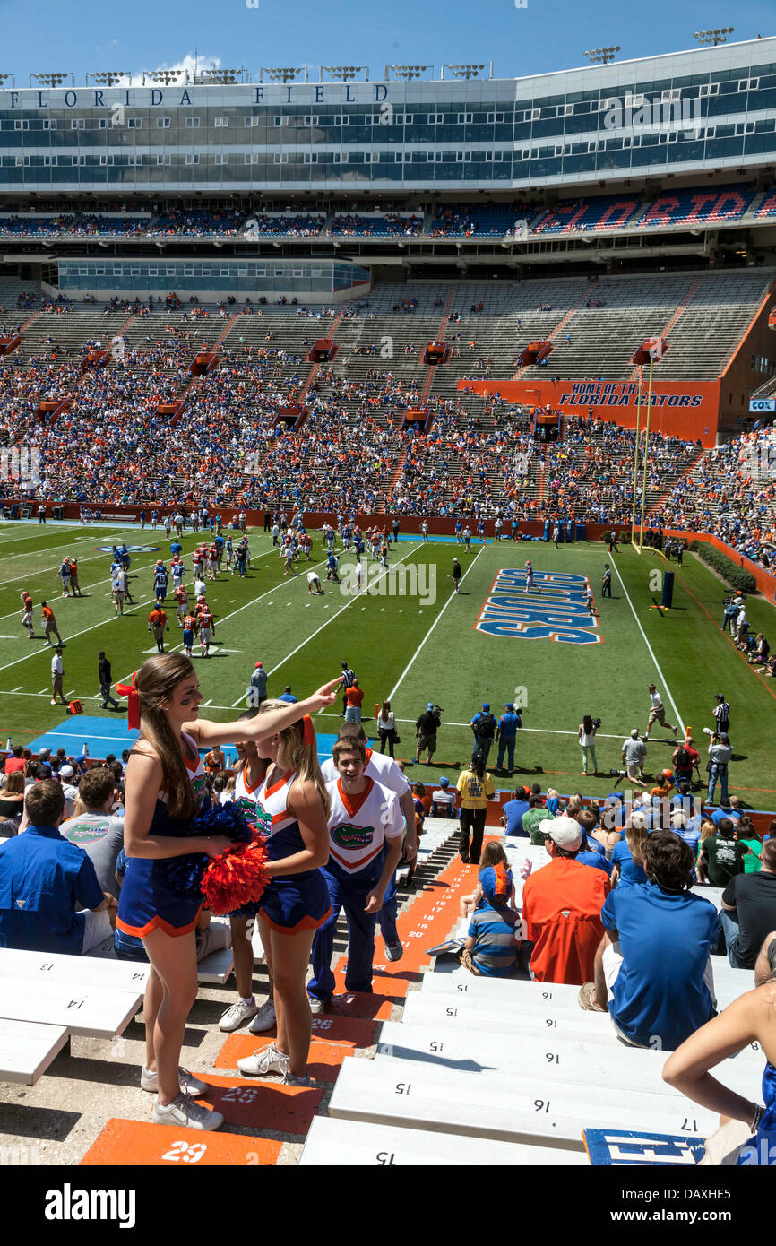 UF Gators cheerleaders 2013 Annual Spring Orange and Blue football game Ben Hill Griffin Stadium Florida Field a.k.a. the Swamp. Stock Photo