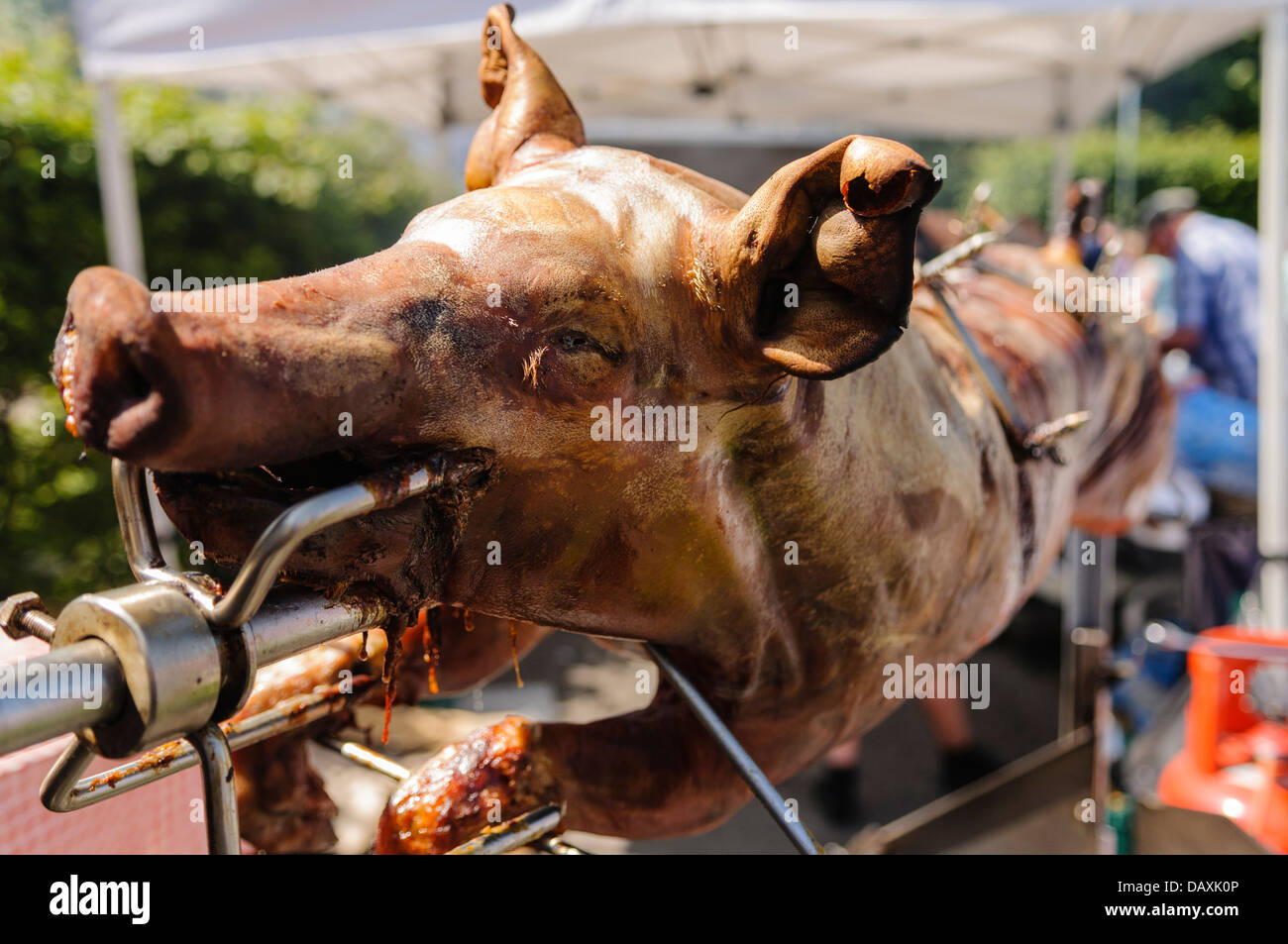 Hog Roast on a spit after being cooked Stock Photo