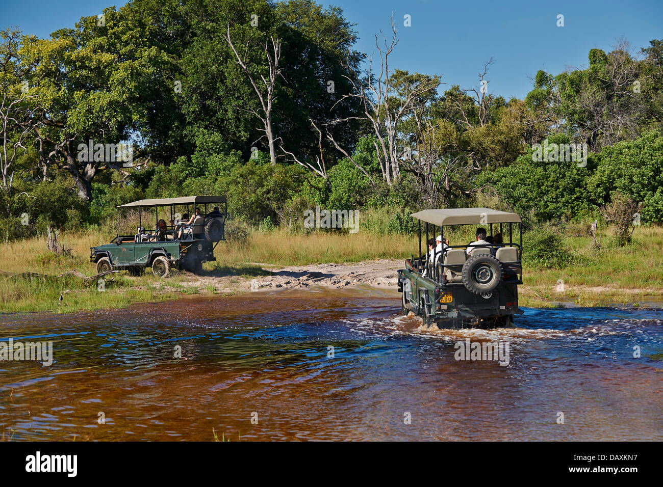 tourists in safari cars crossing water, Chitabe, Okavango Delta, Botswana, Africa Stock Photo