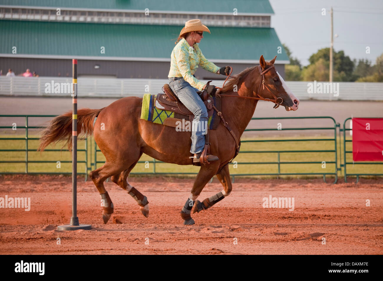 Western horse and rider competing in pole bending and barrel racing