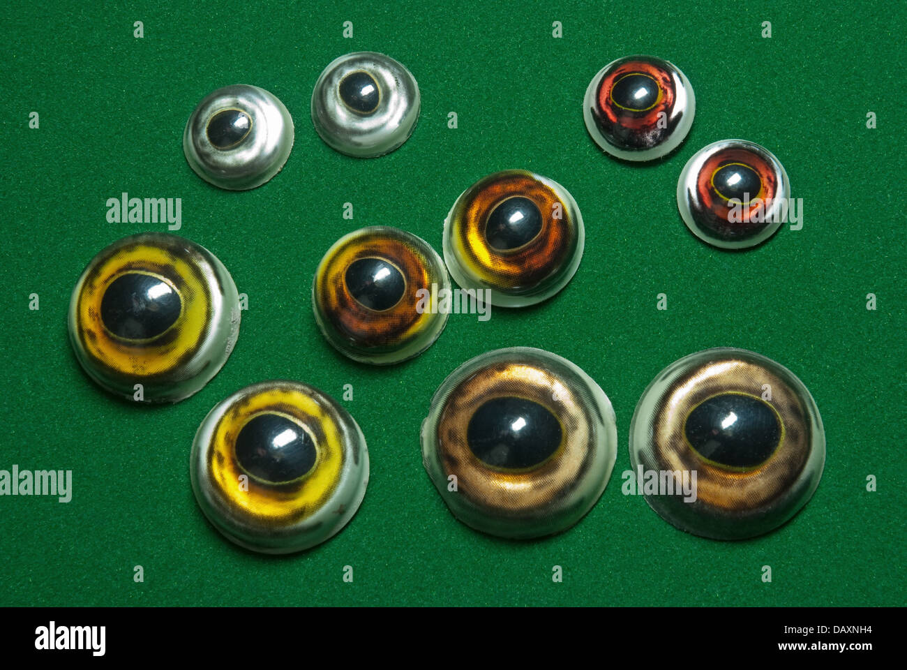 Artificial glass eyes hi-res stock photography and images - Alamy