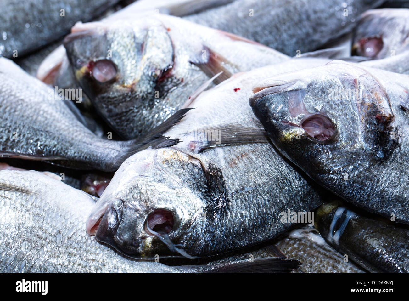 gutted fresh fish for sale at the store Stock Photo Alamy