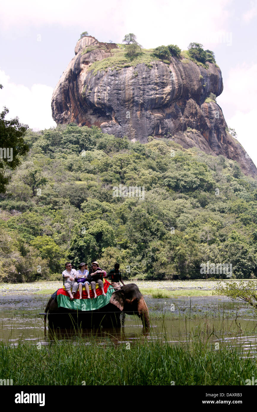 Sri lanka elephant ride hires stock photography and images Alamy