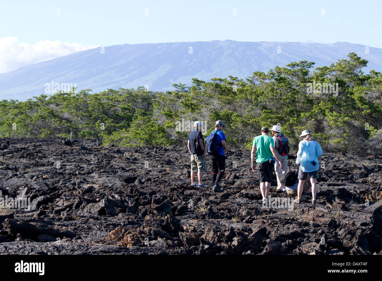 Sierra Negra Volcano, Punta Moreno, Isabela Island, Galapagos Islands