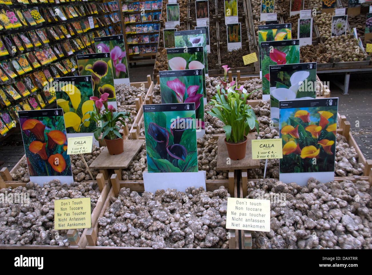 Heritage bulbs hires stock photography and images Alamy