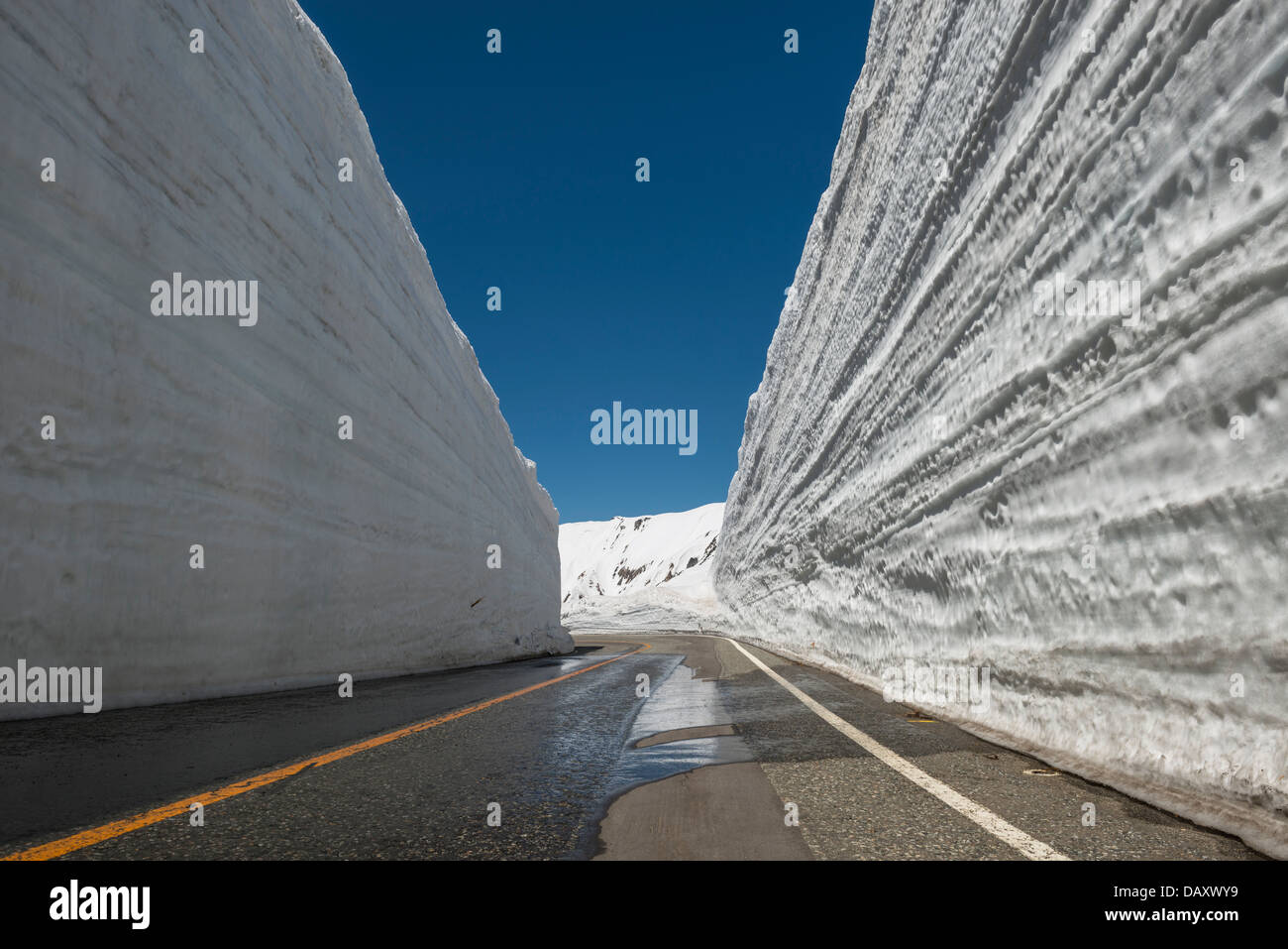 Snow Corridor near the Summit at Murodo on the Tateyama Kurobe Alpine Route, Japan Stock Photo