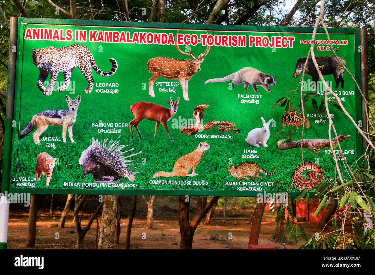 Information board showing animals in Kambalakonda Eco-Tourism Project,  Visakhapatnam, Andhra Pradesh, India Stock Photo - Alamy