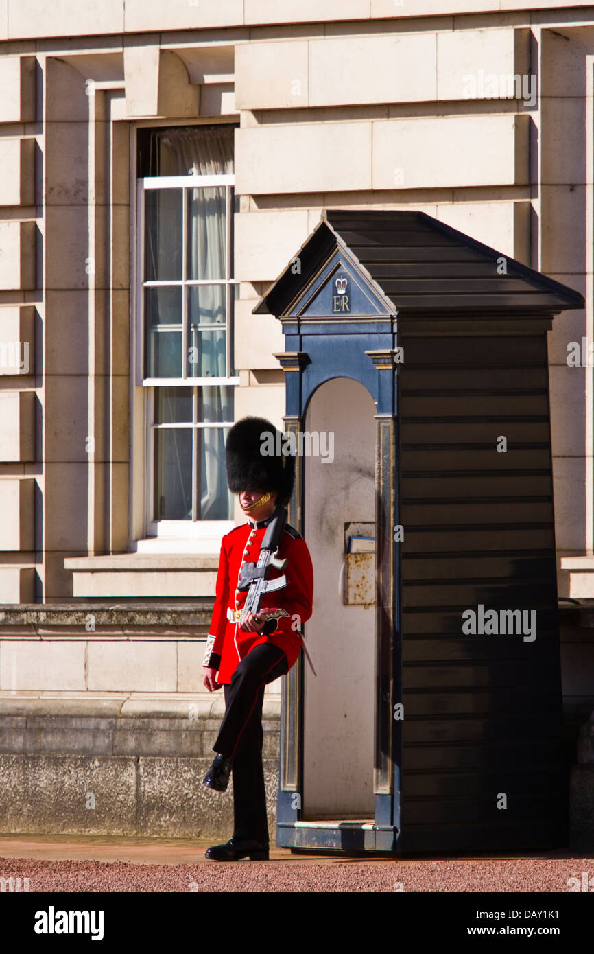 Foot guards on sentry duty at Buckingham palace, London Stock Photo Alamy